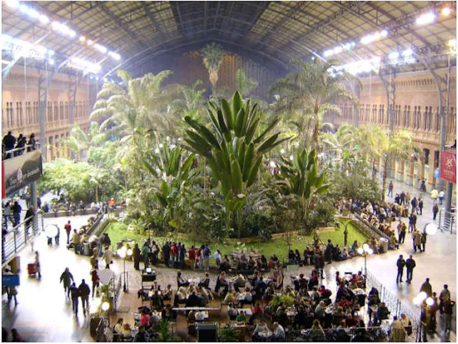 Jardín Tropical de la Estación de Atocha